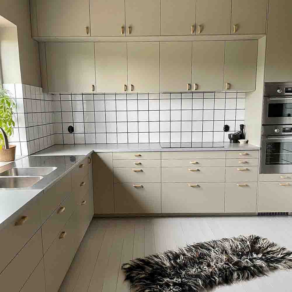 Handgreep A2 - Beuk