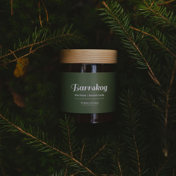 Geurkaars - Pine Forest - 150g