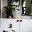 Knop Olympia - Walnoot