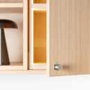 Knop Solo - 21mm - Geborsteld RVS