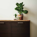 Handgreep Rattan - 160mm - Geborsteld Messing