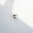 Knop SS-G - 25mm - RVS