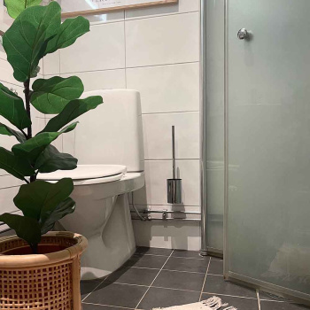 Solid Toiletborstel - Chroom