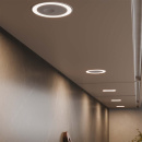 LED-Spot Holl TDM DM - Opbouw - RVS