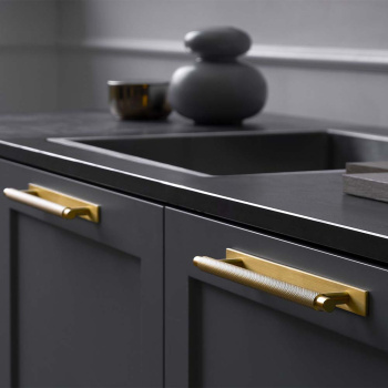 Handgreep Manor/Achterplaat - Goud
