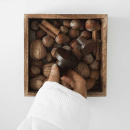 Knop Circum - Walnoot